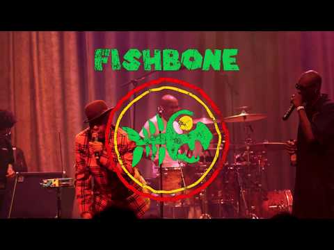Fishbone | FREDDIE'S