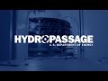 HydroPASSAGE: Advancing Hydropower for Fish and Industry