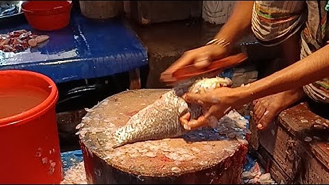 “Perfect Fish Cutting Skills LIVE! Satisfying to Watch!”