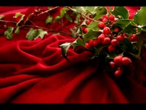 Video: Druid Horoscope: Holly (Holly)