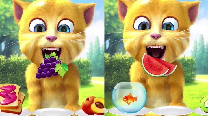 Talking Tom Ginger Cat #funny game  #talkingtom #gameplay #viral #gaming