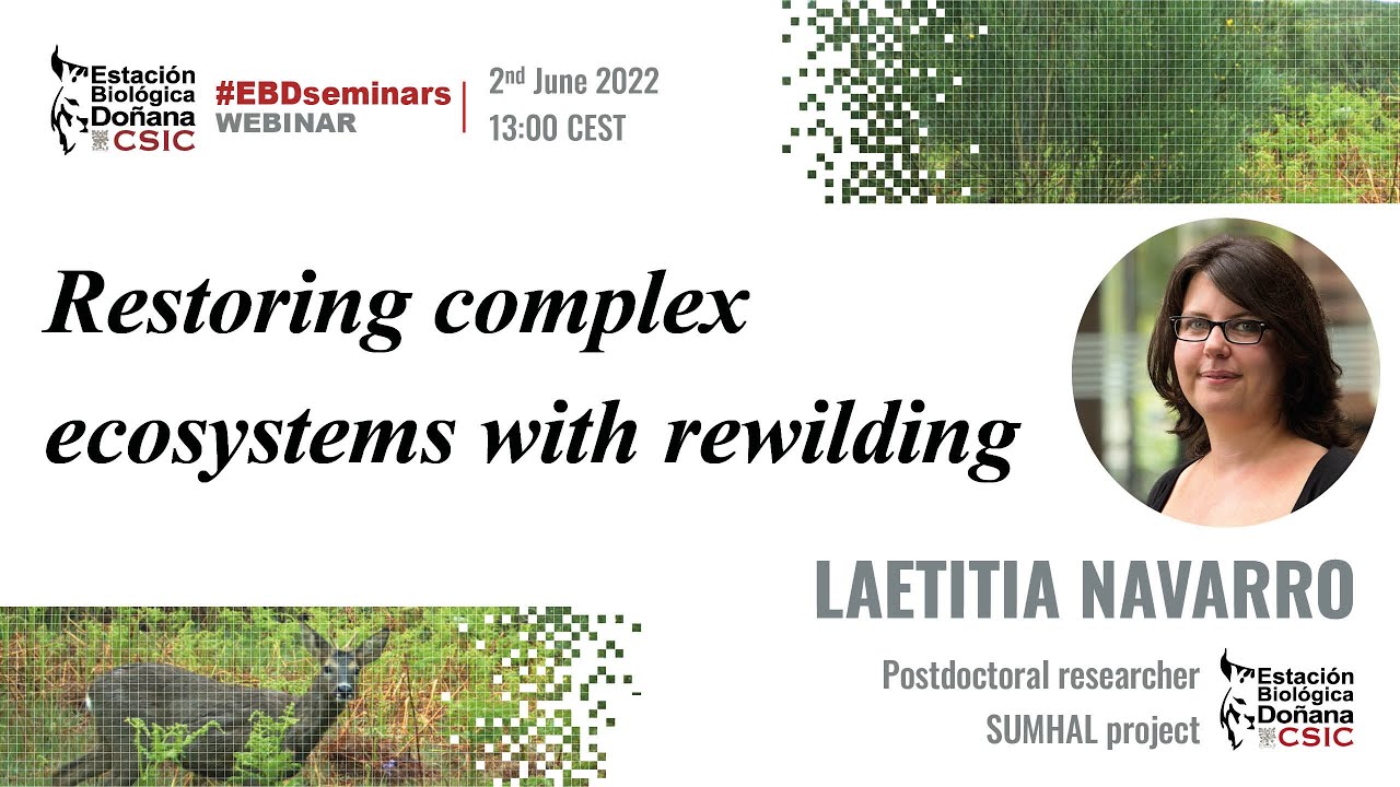 EBD Seminars | Laetitia Navarro