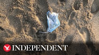 Can we stop the mounting plastic pandemic