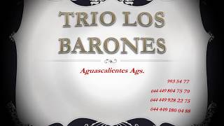 TRIO LOS BARONES AGUASCALIENTES 2