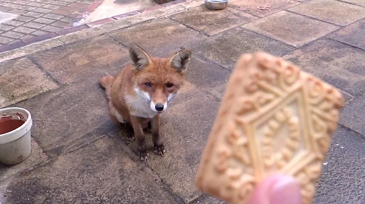 I test the trust between Carrie fox and me
