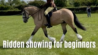 RIDDEN SHOWING FOR BEGINNERS, how to do a walk, trot, canter ridden show, horse show tips