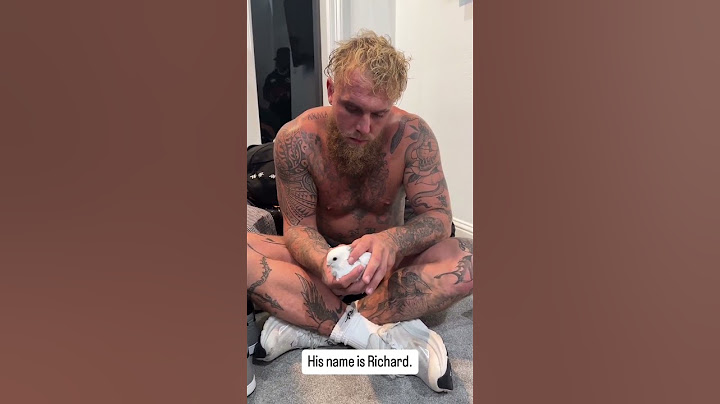 Jake Paul Keeps The Pigeon That He Gave To Mike Tyson 🕊