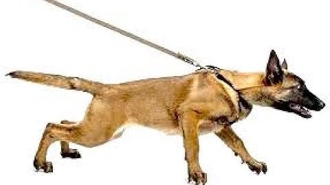 Android App: Read Raw Text File Line By Line