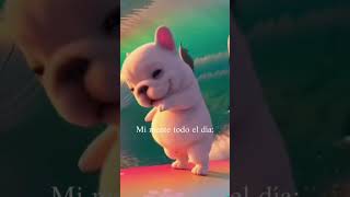 ARRIBA LOS PIBBLES!🔥