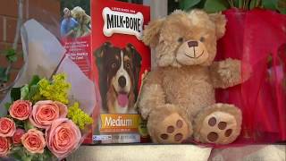 Sunnyvale police identify K9 officer killed in stabbing at apartment complex