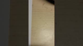 Heldmaschine - Zwei Sekunden tabs für Leute die es covern möchten