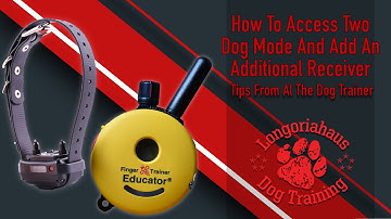 Remote Collar Setup | How To Access Two Dog Mode And Add An Additional Receiver