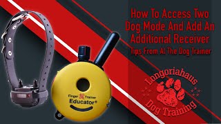 Remote Collar Setup | How To Access Two Dog Mode And Add An Additional Receiver