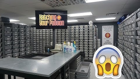 Mutation Creation Ball Python Facility Tour !!!