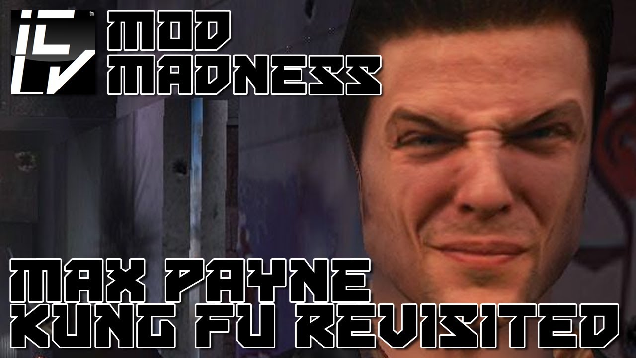 max payne kung fu