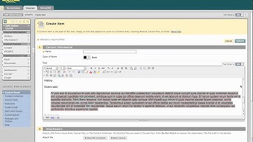 BbLearn: WYSIWYG Editor