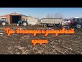 Три трактора МТЗ вытаскивают из грязи КАМАЗовский прицеп полный пшеницы.
