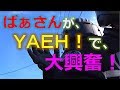 婆さんが、ヤエーで大興奮！
