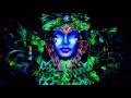Capture de la vidéo Pranava Vs. Universe Inside Me ~Psytrance~