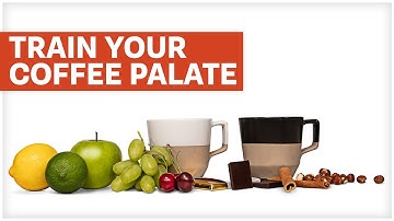 How To Taste Acidity & Bitterness In Coffee