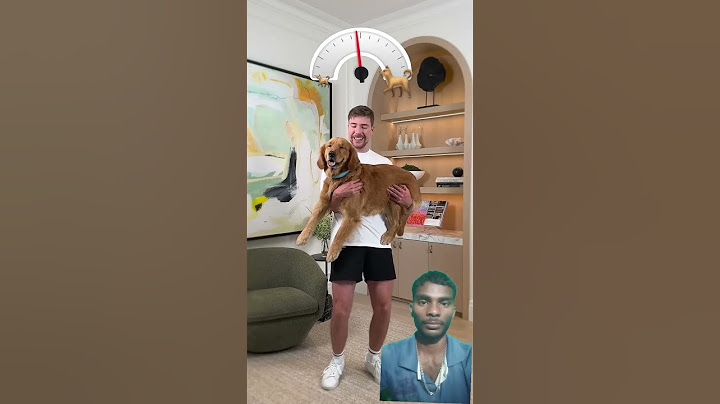 holding bigger and bigger dogs