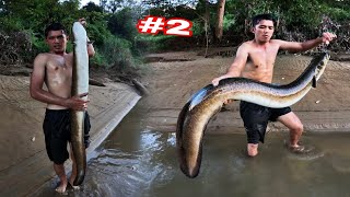 NÓ To Như Bắp Chân Của Tôi | 9 Năm Đi Ngủ Rừng Lần Đầu Chúng Tôi Chạm Mặt Được Loại To Như Thế Này — video thumbnail