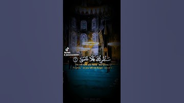 سوره اعلی :تلاوت چند از آیات سوره اعلی با صدای القاری سید نوید هاشمی