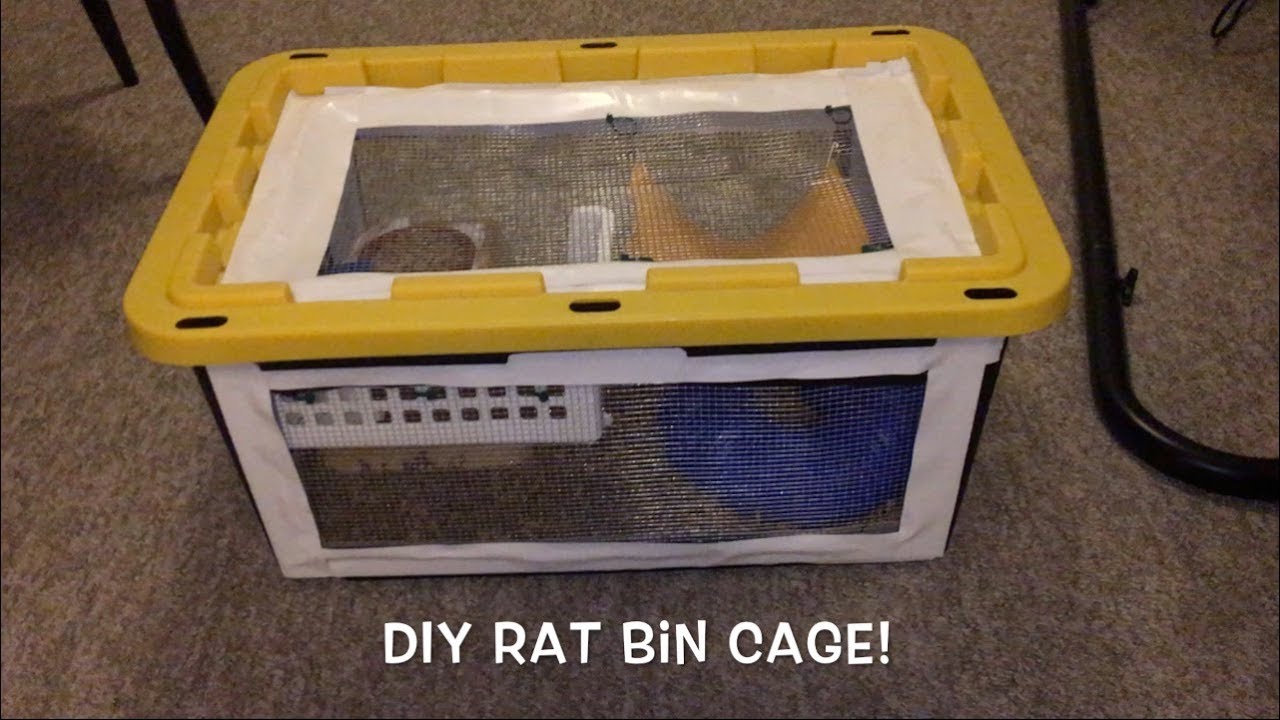 diy mouse bin cage