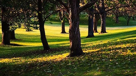 آيات من سورة مريم (Part of Surah Maryam) برواية خلف عن حمزة