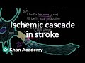 The ischemic cascade in stroke | Circulatory System and Disease | NCLEX-RN | Khan Academy