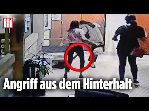 Python-Schlange greift Frau im Büro an | Thailand