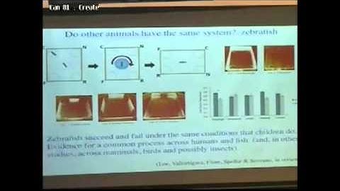 CogSci Connects - Early Child Development Session (Part 3/7)