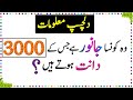 Paheliyan in urdu  general knowledge questions and answer   facts about animal teeth  sky ways