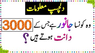 Paheliyan In Urdu - General Knowledge Questions And Answer -  Facts About Animal Teeth - Sky Ways