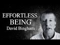 David Bingham: The KEY To Effortless Being.