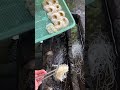текучая лапша текучая лапша