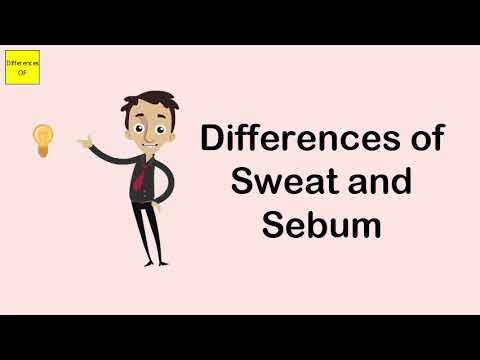 Differences of Sweat and Sebum