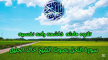 قران كريم اجمل صوت قران كريم جدا راحه نفسيه وسكينه تلاوه هادئه خاشعه تريح القلب#quran #quranhearts