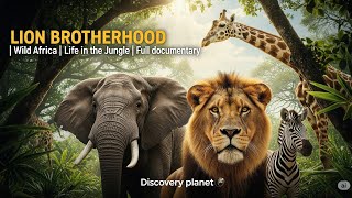 LION BROTHERHOOD | Wild Africa | Life in the Jungle | Full documentary