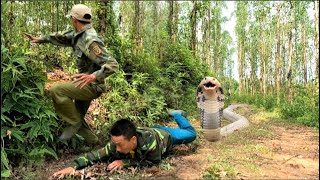 The man paid a heavy price when he took the nest eggs of a giant king cobra by the roadside.