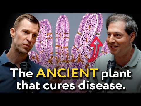Thumbnail for The Bible PREDICTED This Incredible Natural Medicine! | Jordan Rubin x Dr. Axe