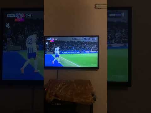 قمة الروقان والاستكنان اكسبلور Funny Hiphop Cat Vintage Prank Pets Dj Funnycats