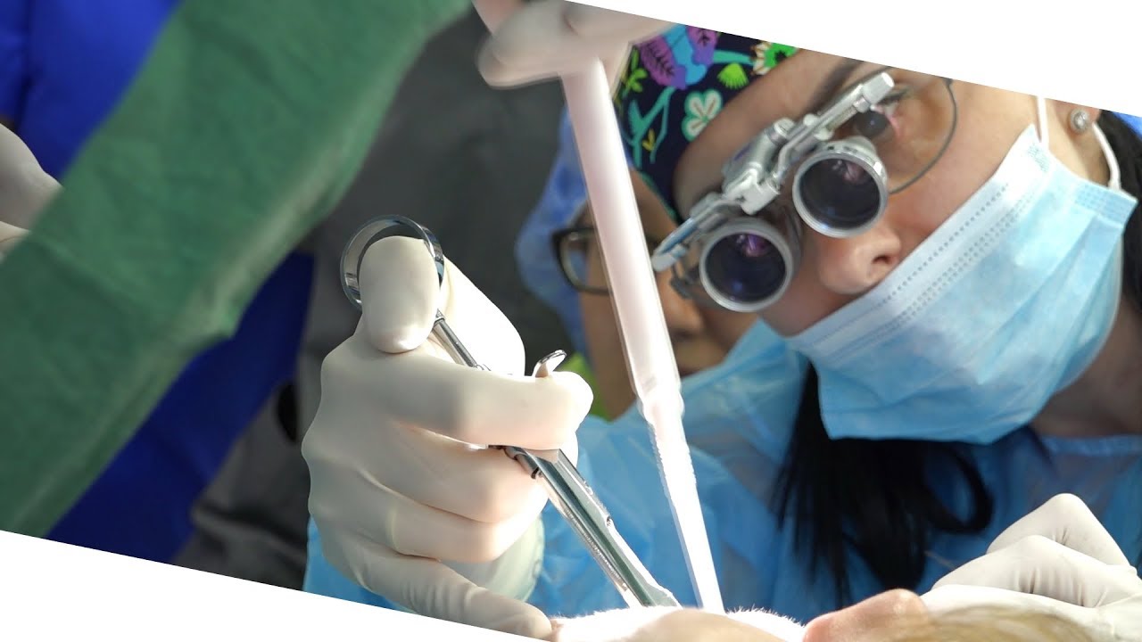 Practiculum Implantologii Sezon VIII A  Sesja 4 zabieg 3