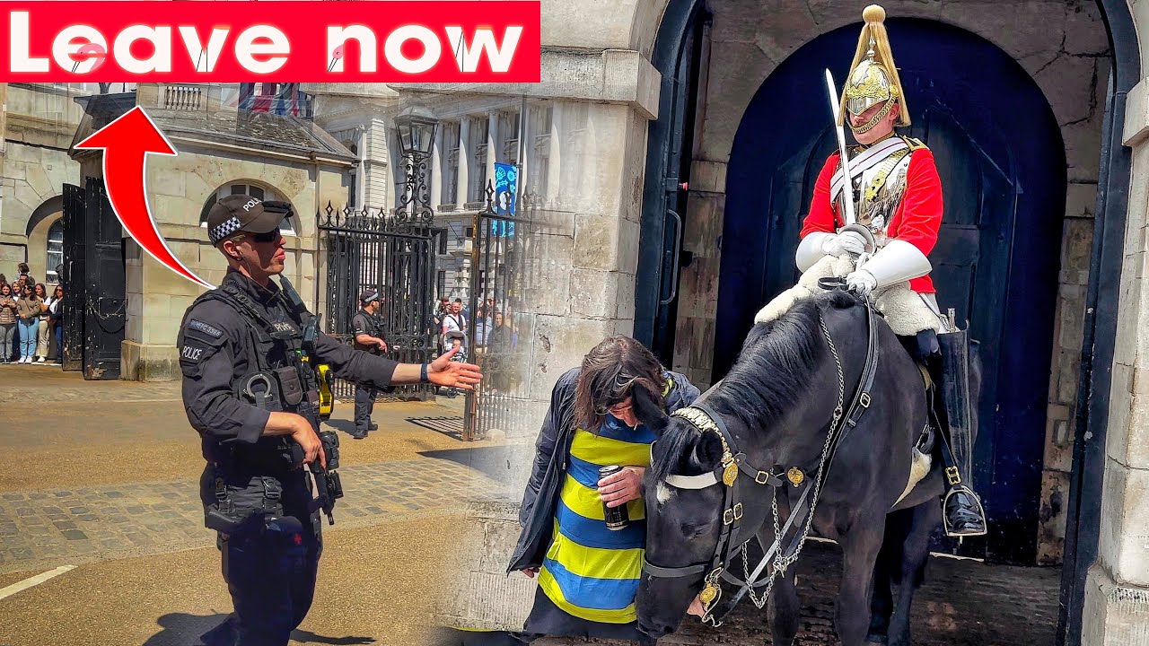 EVERYONE is SHOCKED! INCIDENT, this HAPPENED at horse guards today