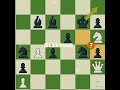 Magnus Carlsen's brilliant chess move