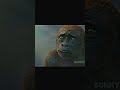 Kong vs scar king army fight scene 🔥#subscribe #trending #reels #kong #godzilla #yt #short #shorts