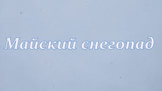 Майский снег (г. Снежногорск, 19.05.2024 г.)