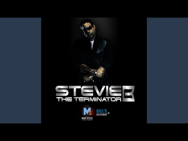 Stevie B - Shake It Up