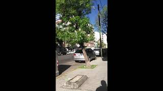 Argentine, Buenos aires, Caballito district, from La plata av. to Emilio Mitre street
