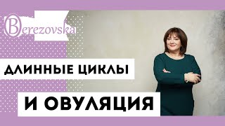 Длинные циклы и овуляция @DrOlenaB